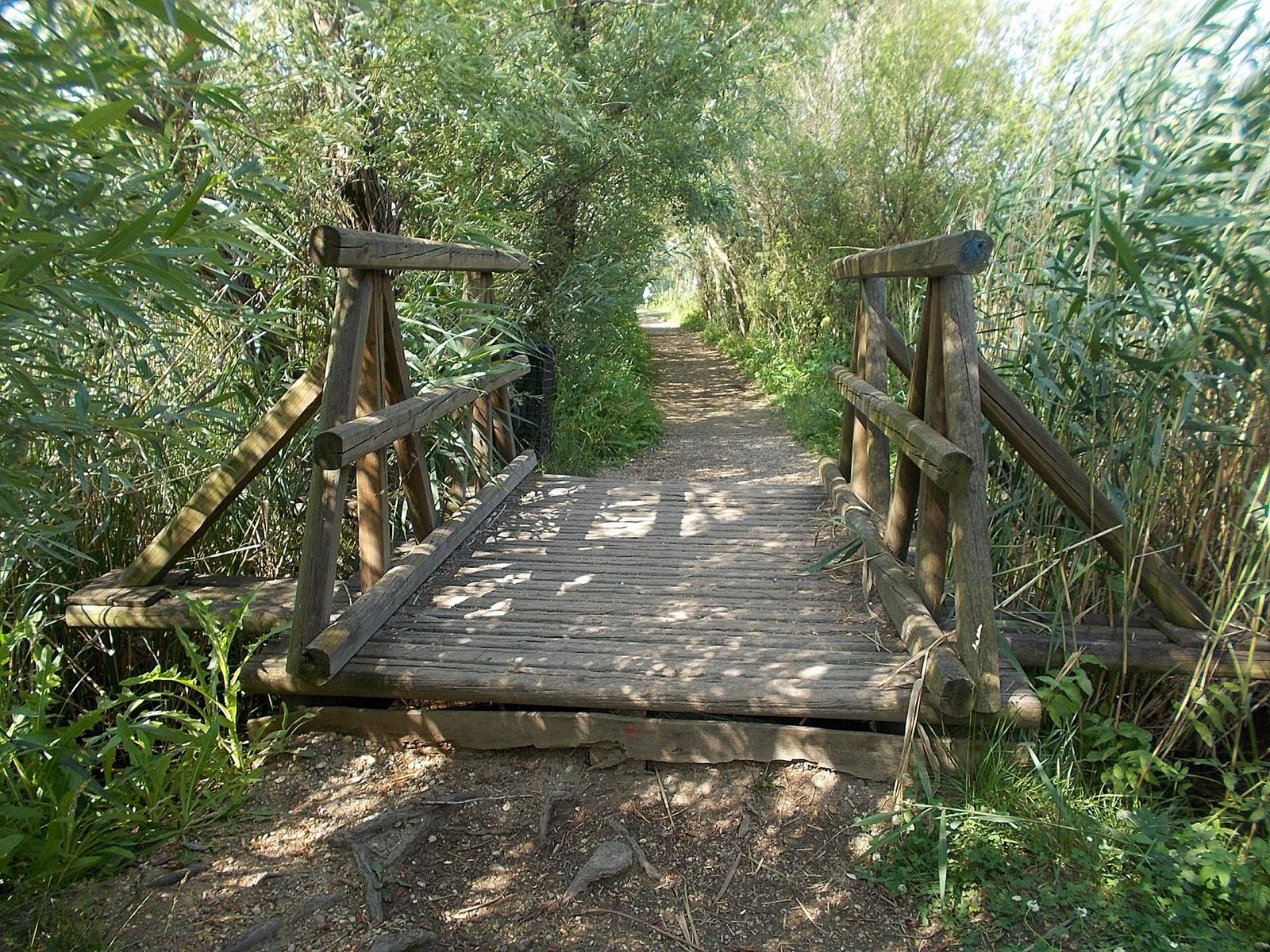 The footbridge on the creek walk