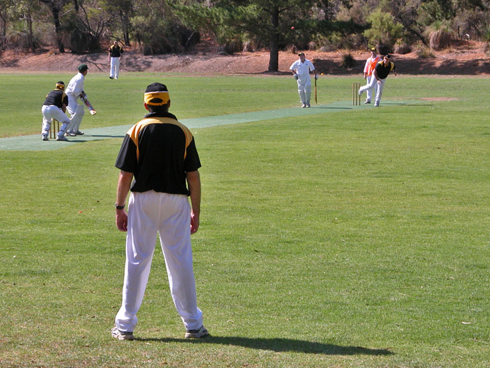 Saturday cricket on the oval